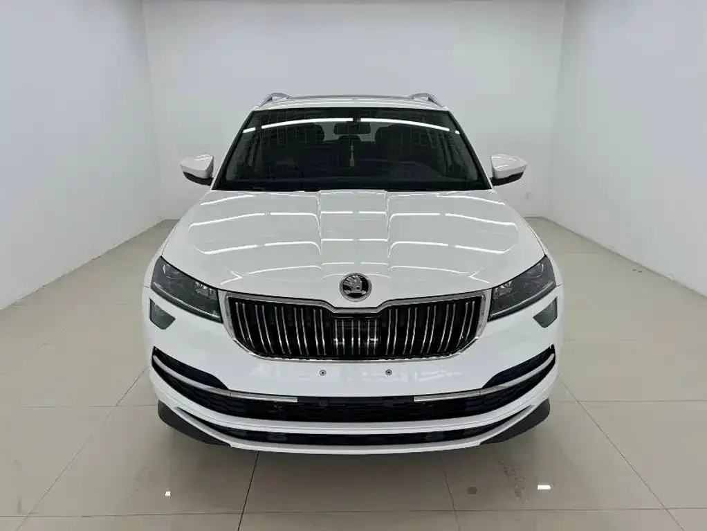Skoda Karoq — фото 7