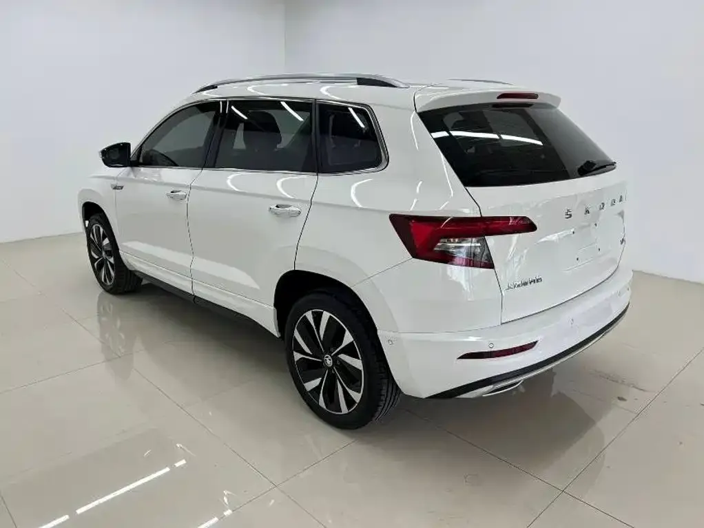 Skoda Karoq — фото 5