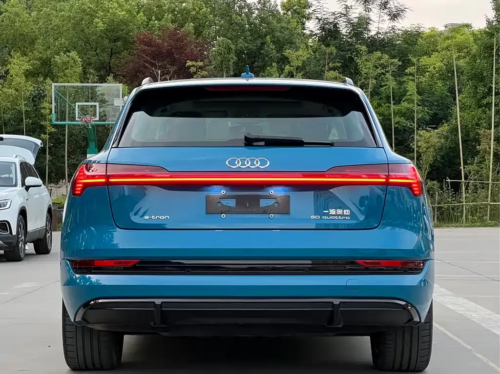 Audi e-tron 2022 из CN, фото 4