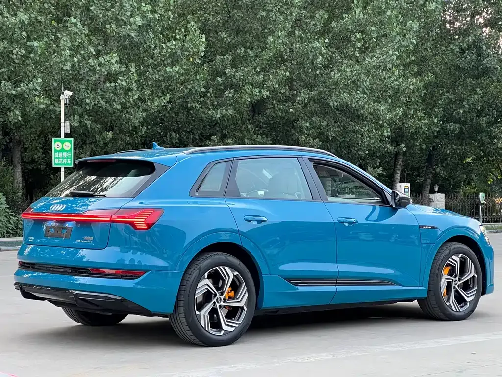 Audi e-tron 2022 из CN, фото 7