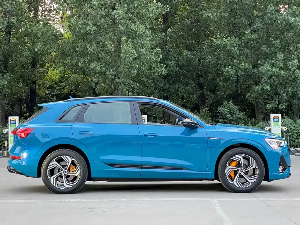 Audi e-tron 2022 из CN, фото 9