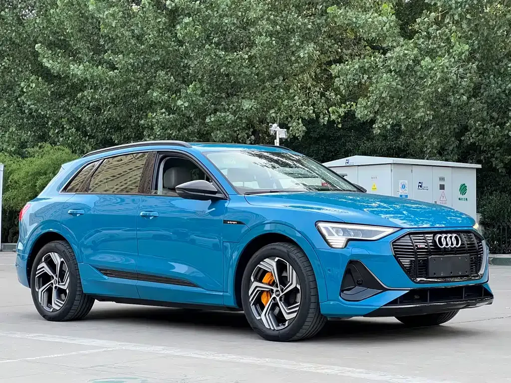 Audi e-tron 2022 из CN, фото 8