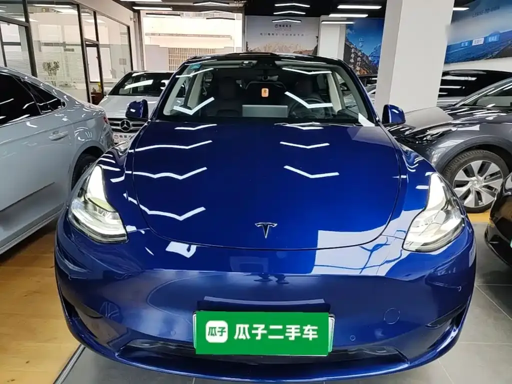 Tesla Model Y — фото 10
