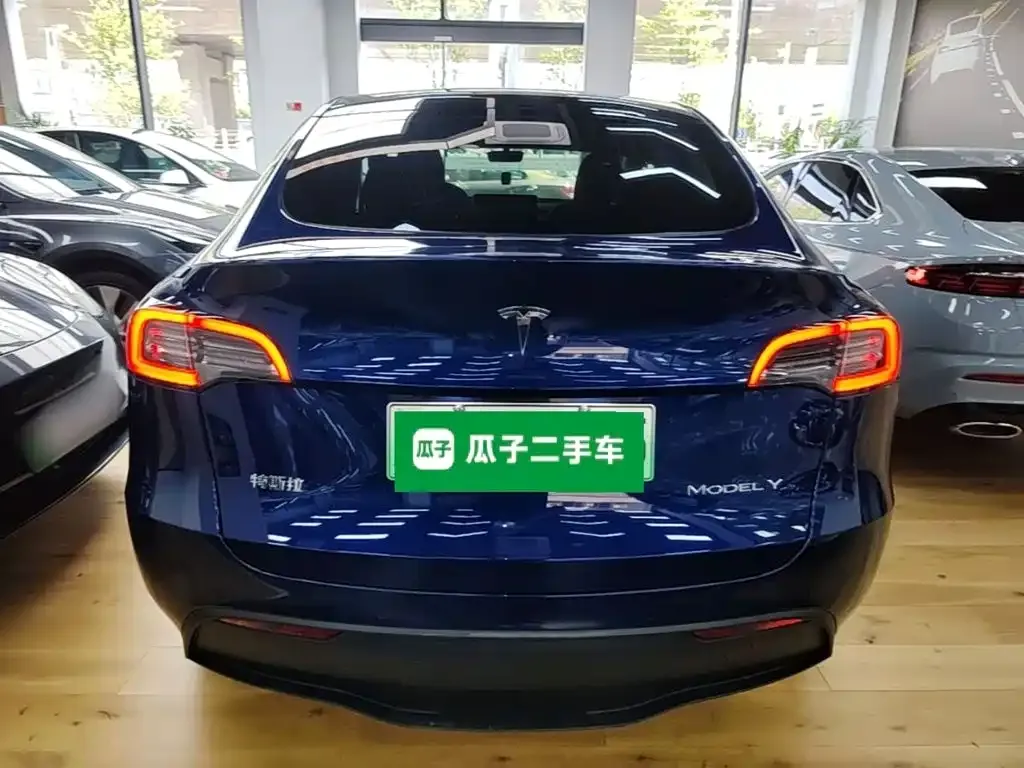 Tesla Model Y — фото 8