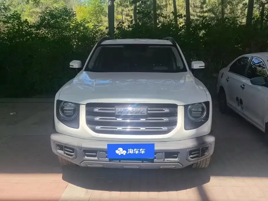 Haval Big Dog — фото 10