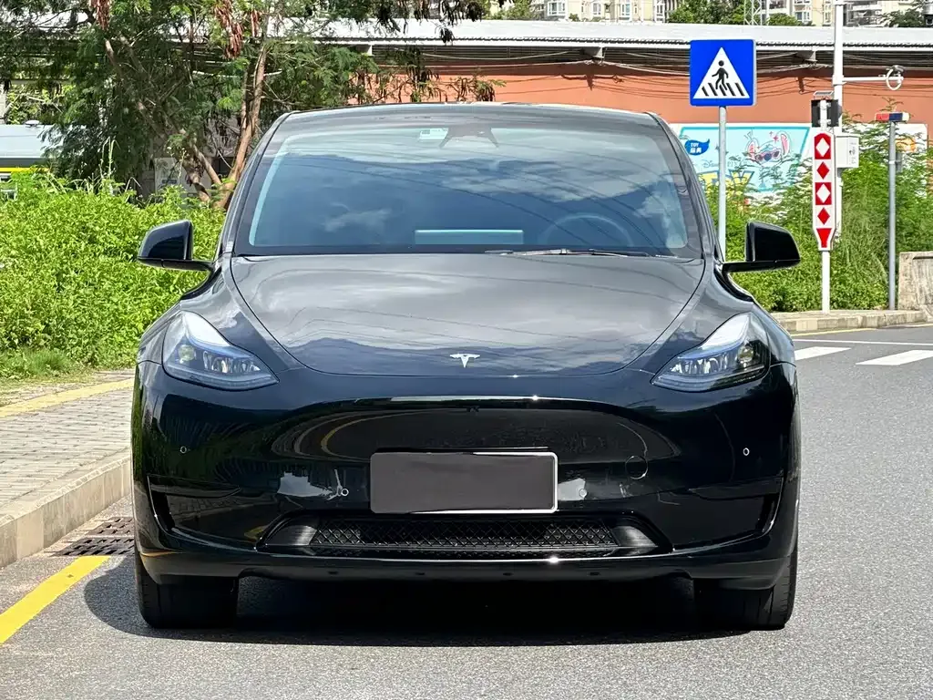 Tesla Model Y — фото 9