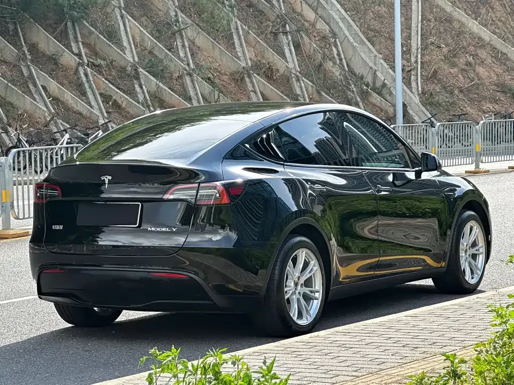 Tesla Model Y — фото 10