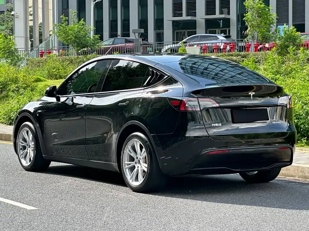 Tesla Model Y — фото 8