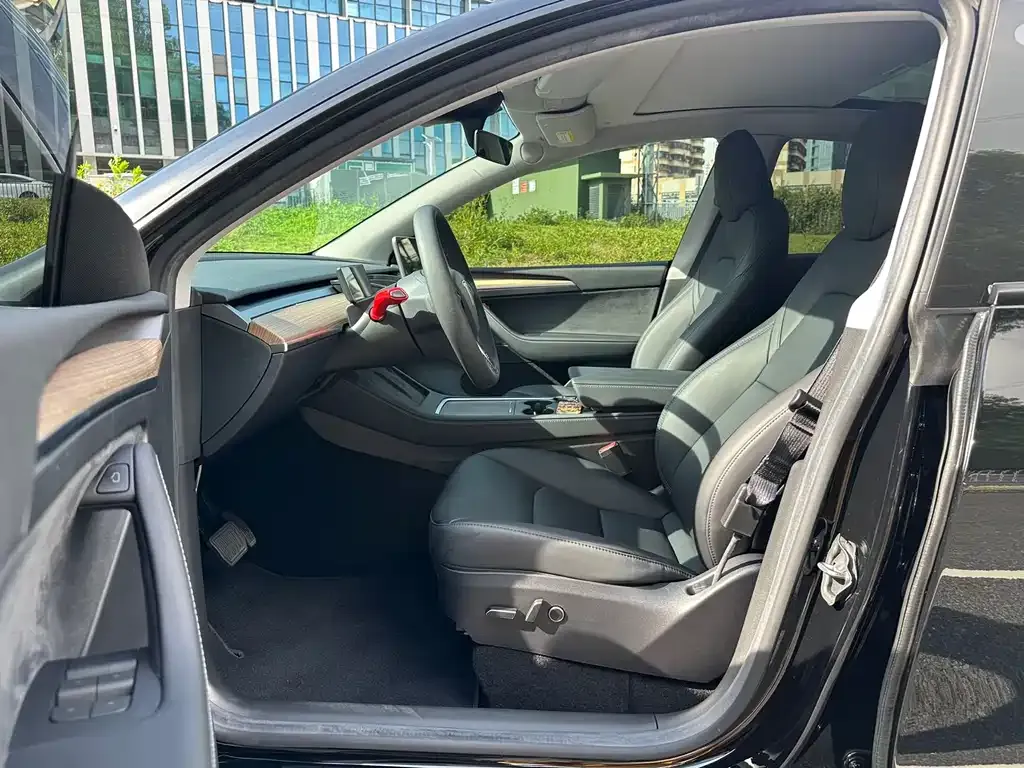 Tesla Model Y — фото 3