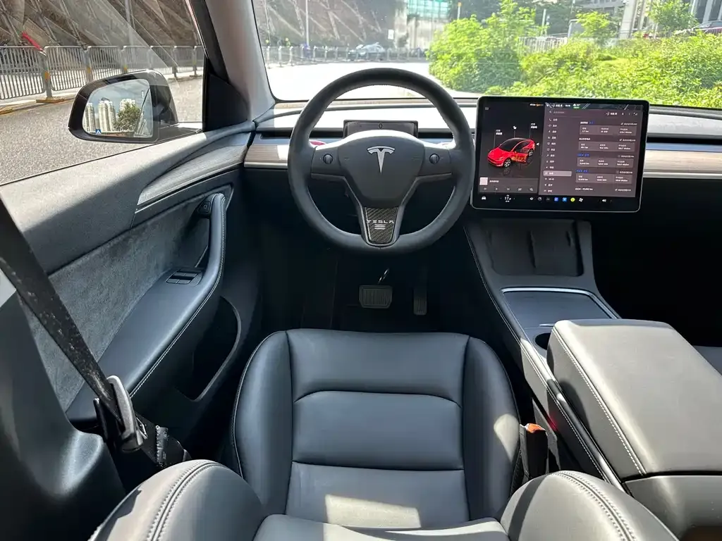 Tesla Model Y — фото 2