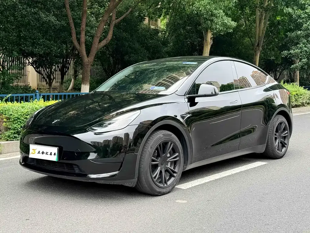 Tesla Model Y — фото 1