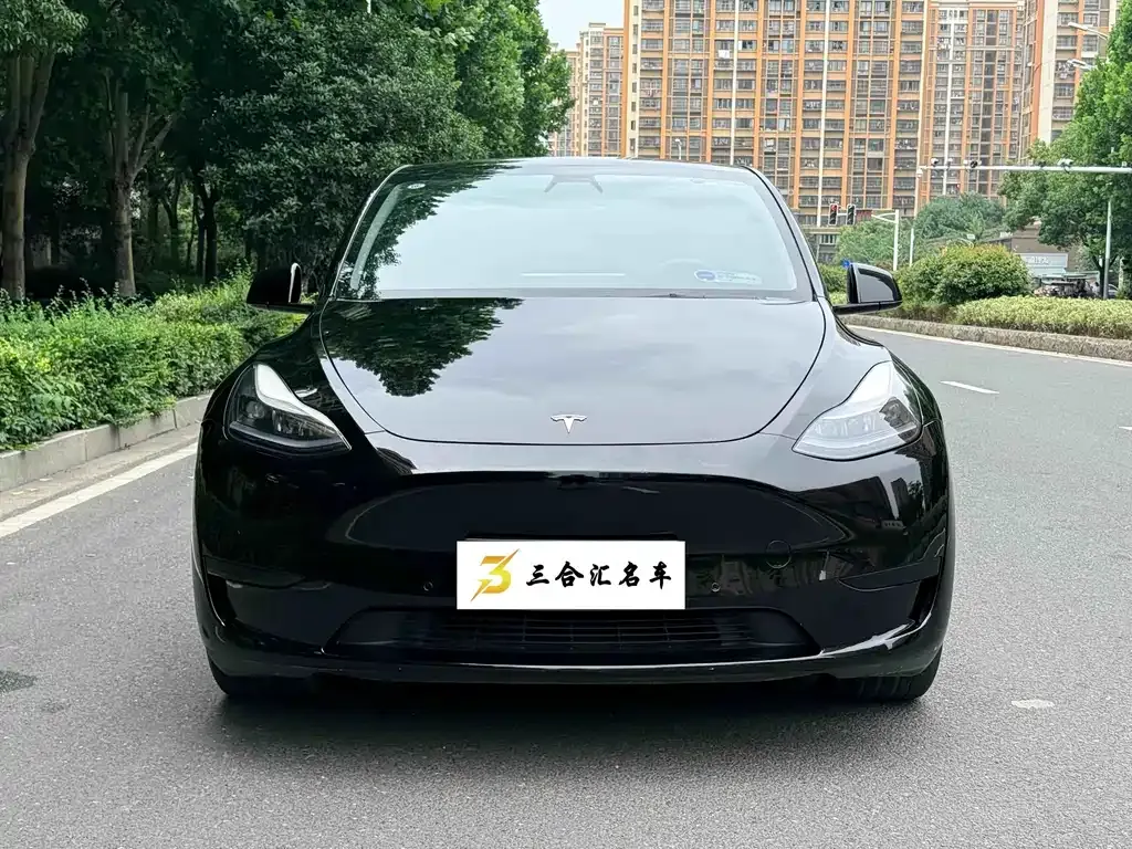 Tesla Model Y — фото 6