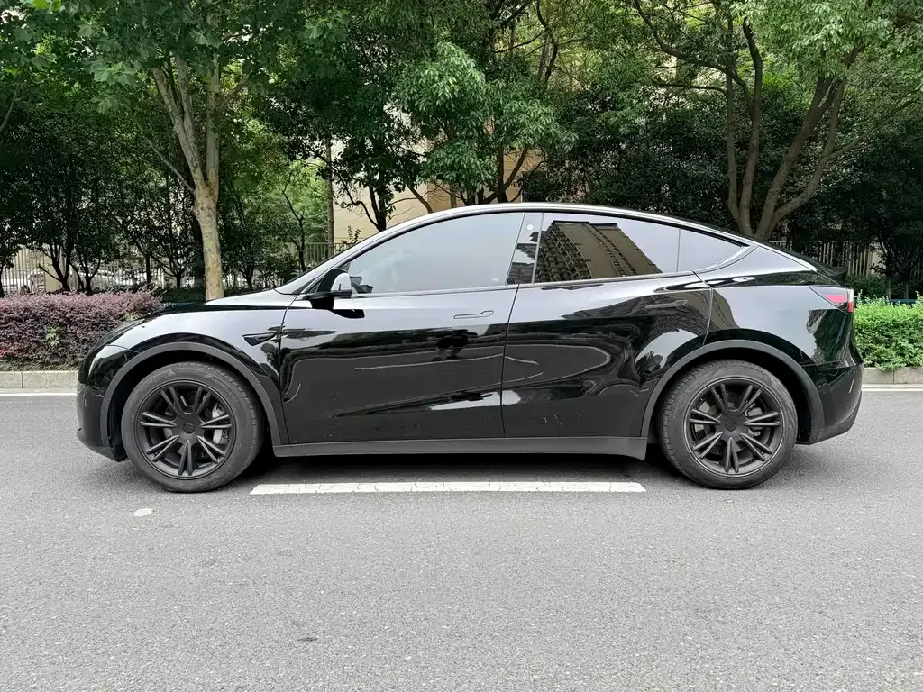 Tesla Model Y — фото 2