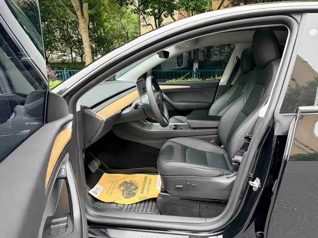Tesla Model Y — фото 3