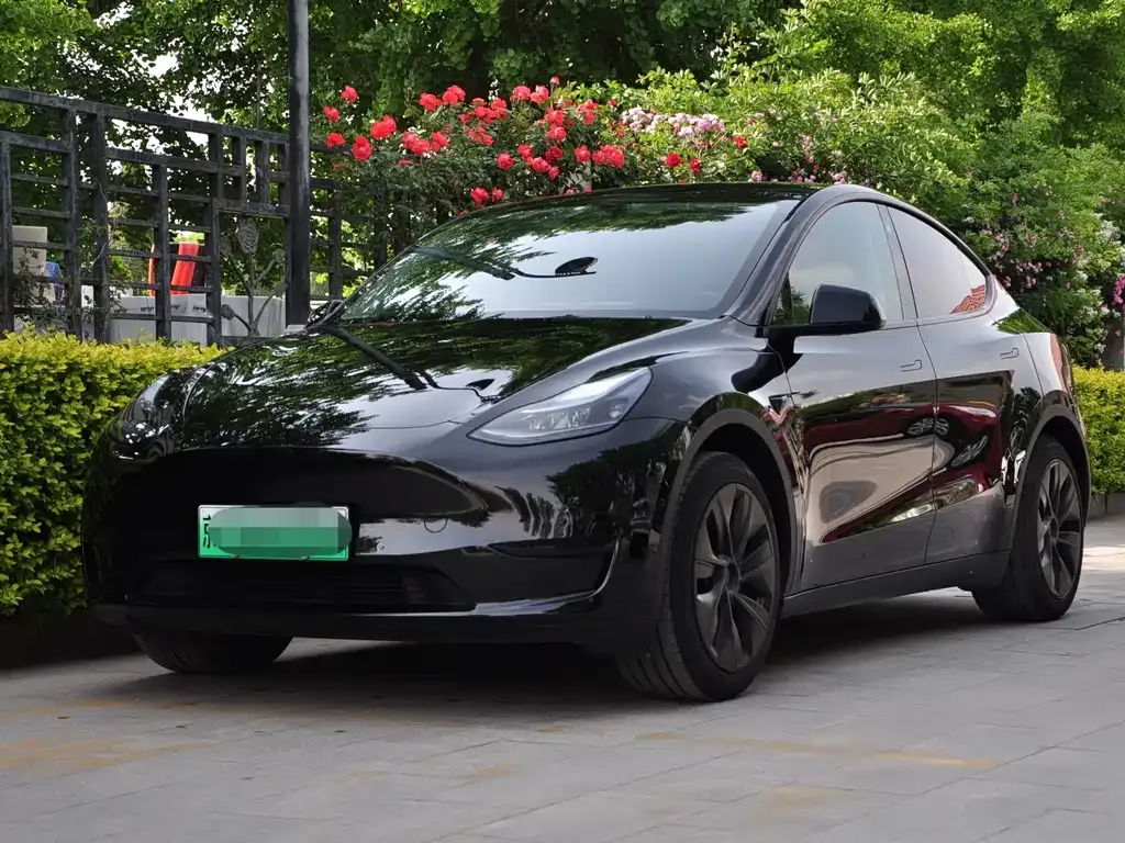 Tesla Model Y — фото 1