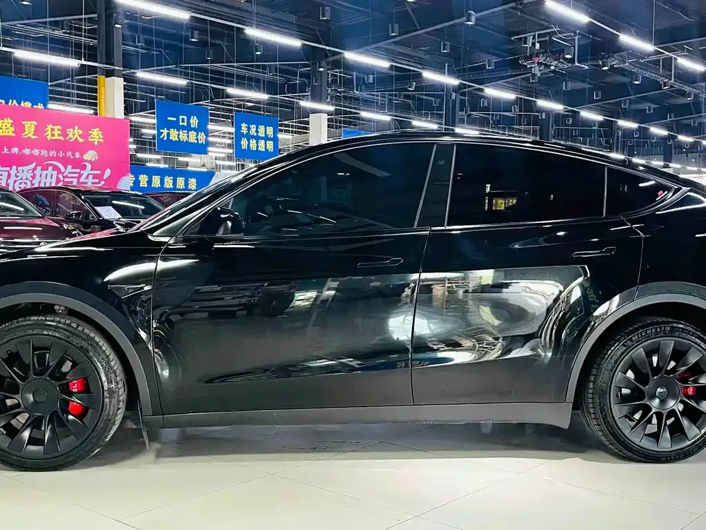 Tesla Model Y — фото 10