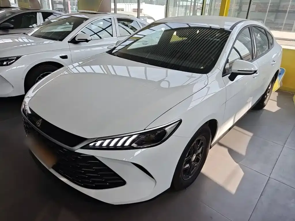 BYD Qin PLUS — фото 4