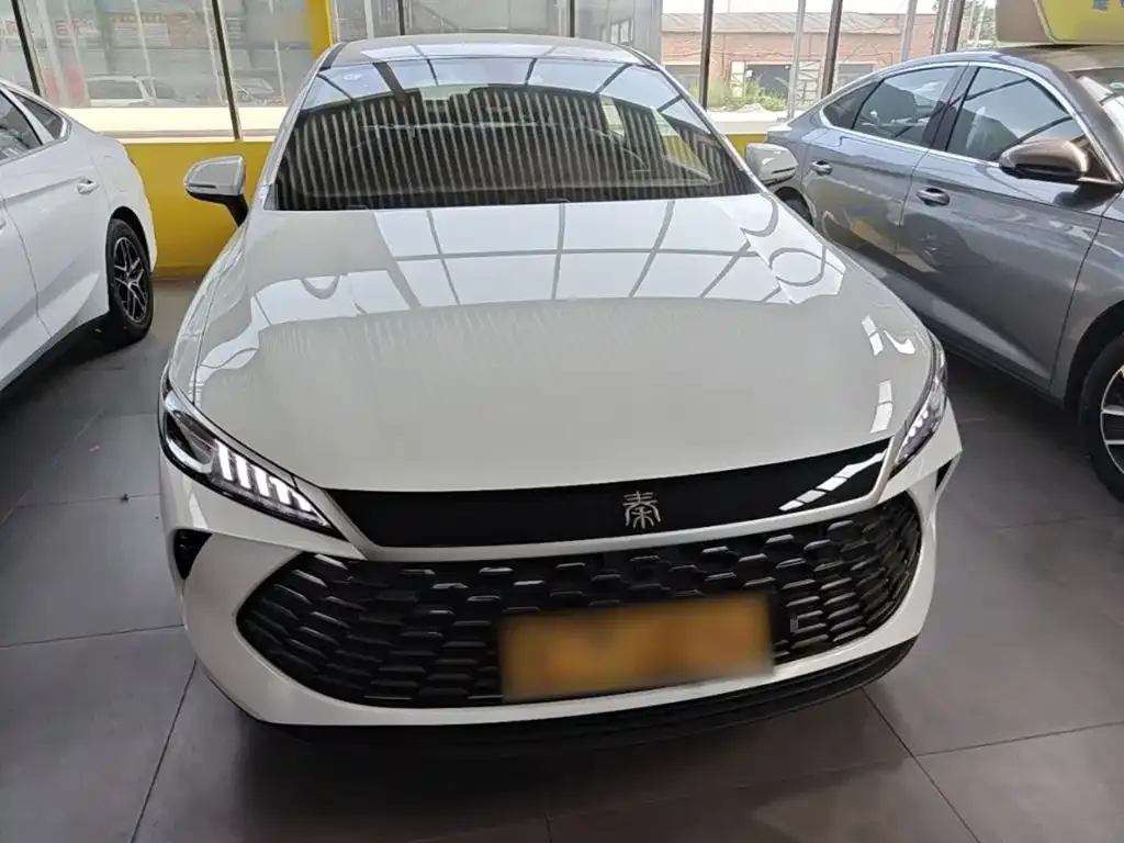 BYD Qin PLUS — фото 8