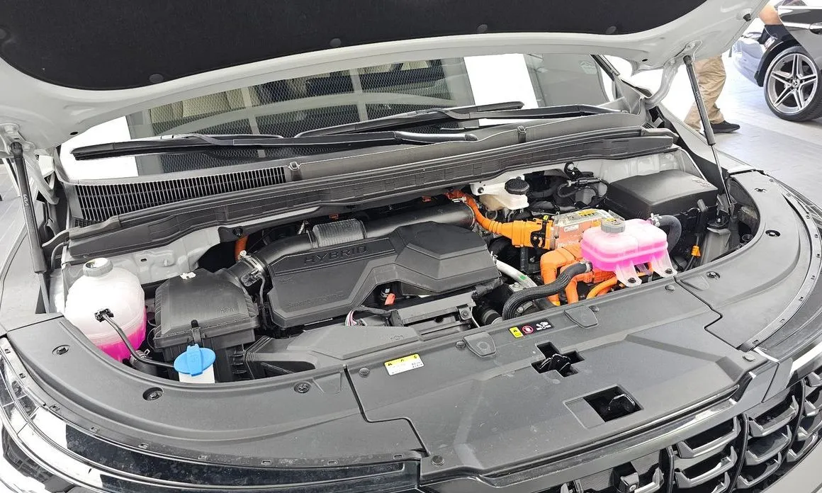 Kia Carnival — фото 10