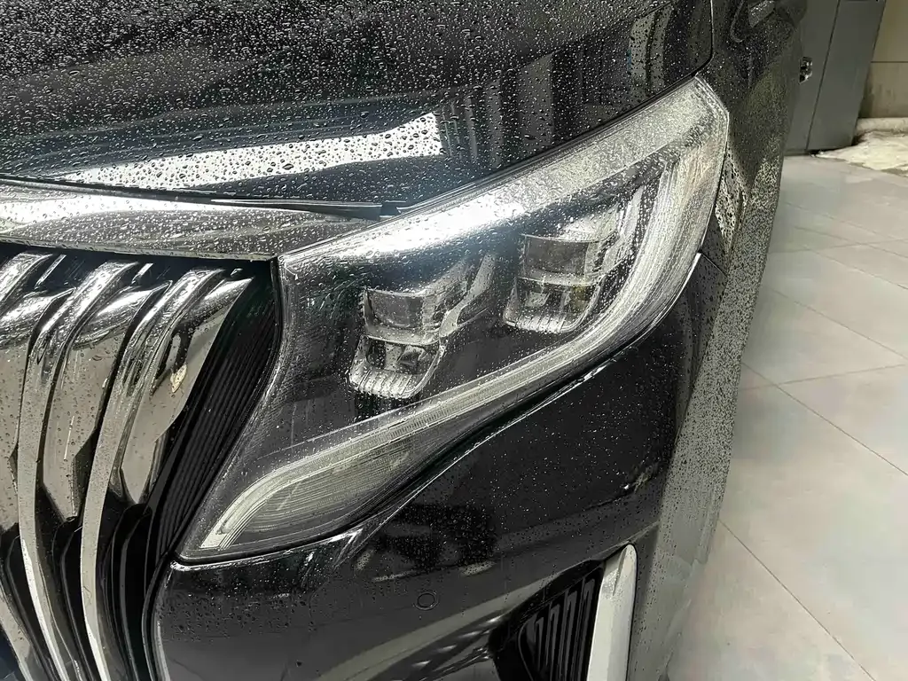 GAC Motor Trumpchi M8 — фото 10