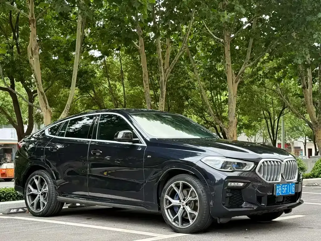 BMW X6 — фото 9