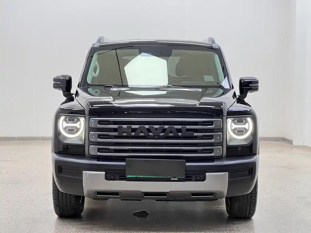 Haval Menglong New Energy 2024 из CN, фото 2
