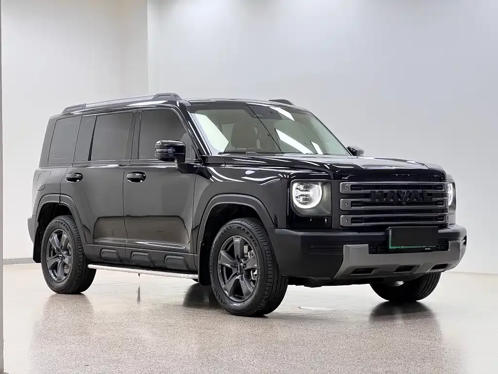 Haval Menglong New Energy 2024 из CN, фото 7