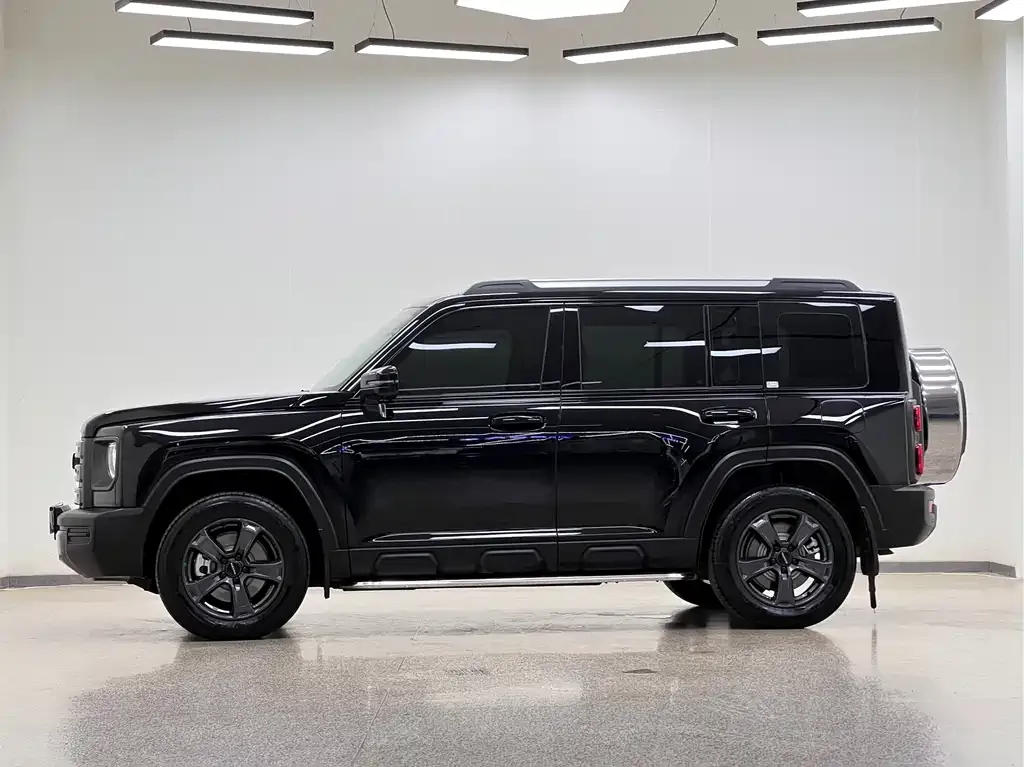 Haval Menglong New Energy 2024 из CN, фото 6
