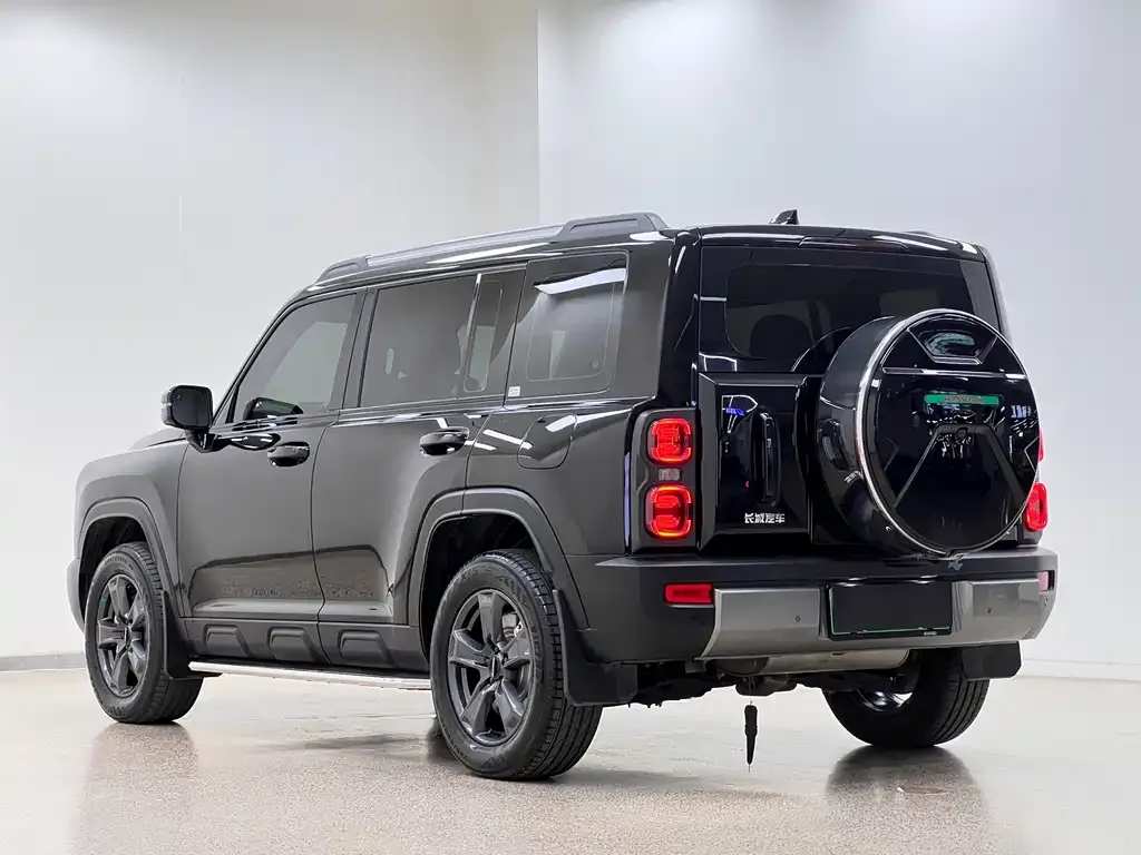 Haval Menglong New Energy 2024 из CN, фото 8
