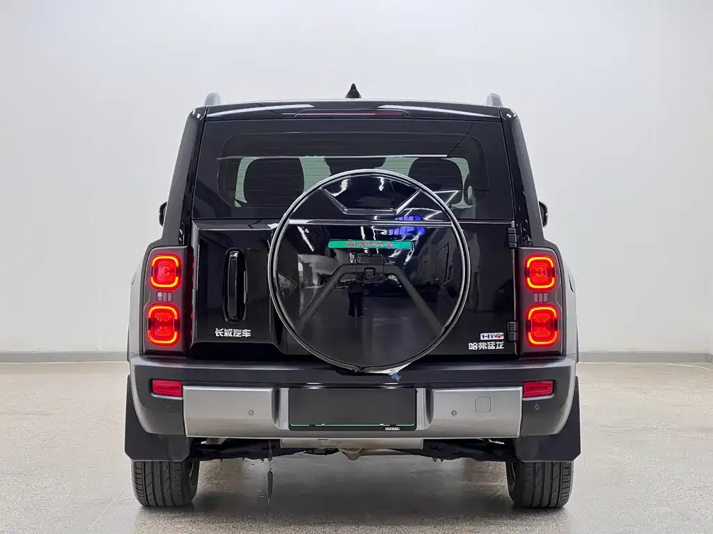 Haval Menglong New Energy 2024 из CN, фото 5