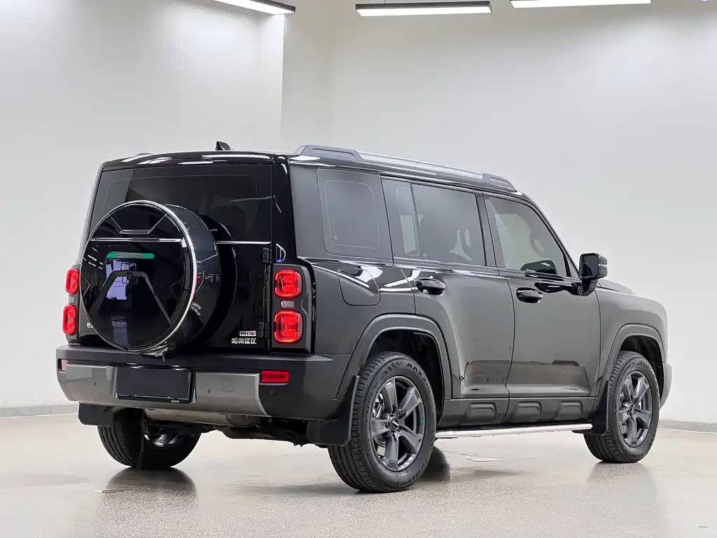 Haval Menglong New Energy 2024 из CN, фото 4
