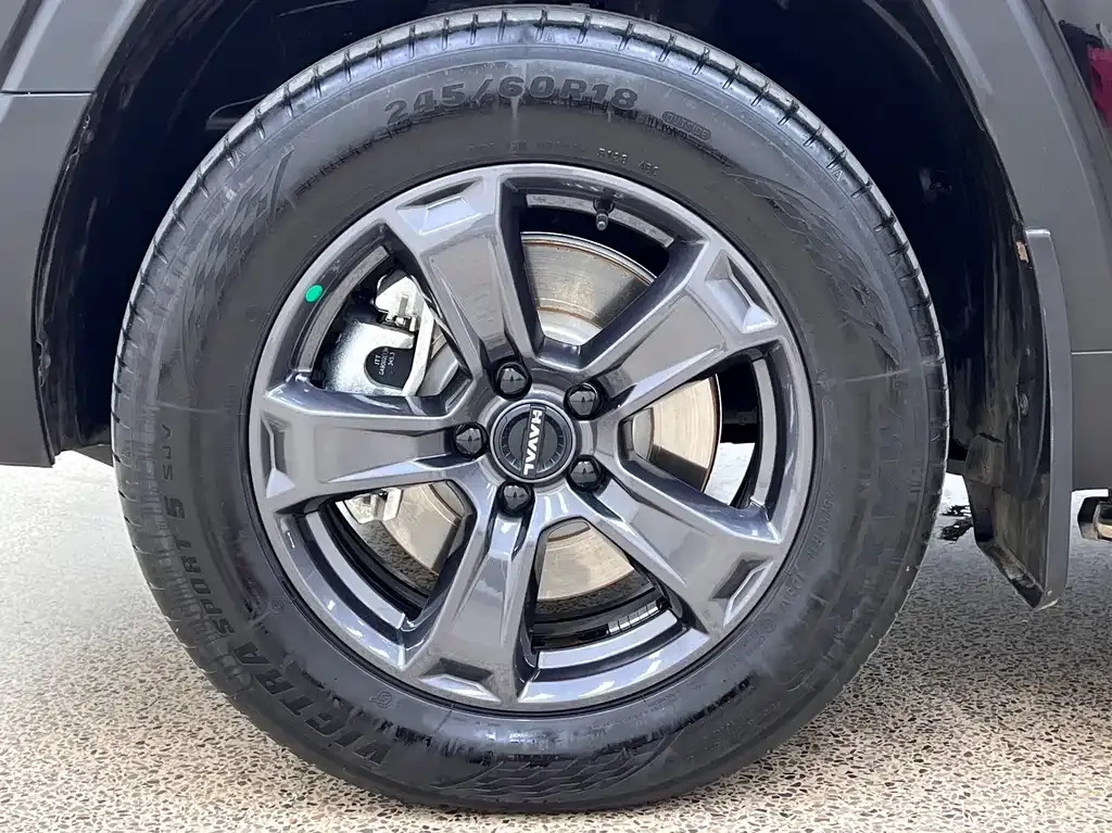 Haval Menglong New Energy 2024 из CN, фото 9