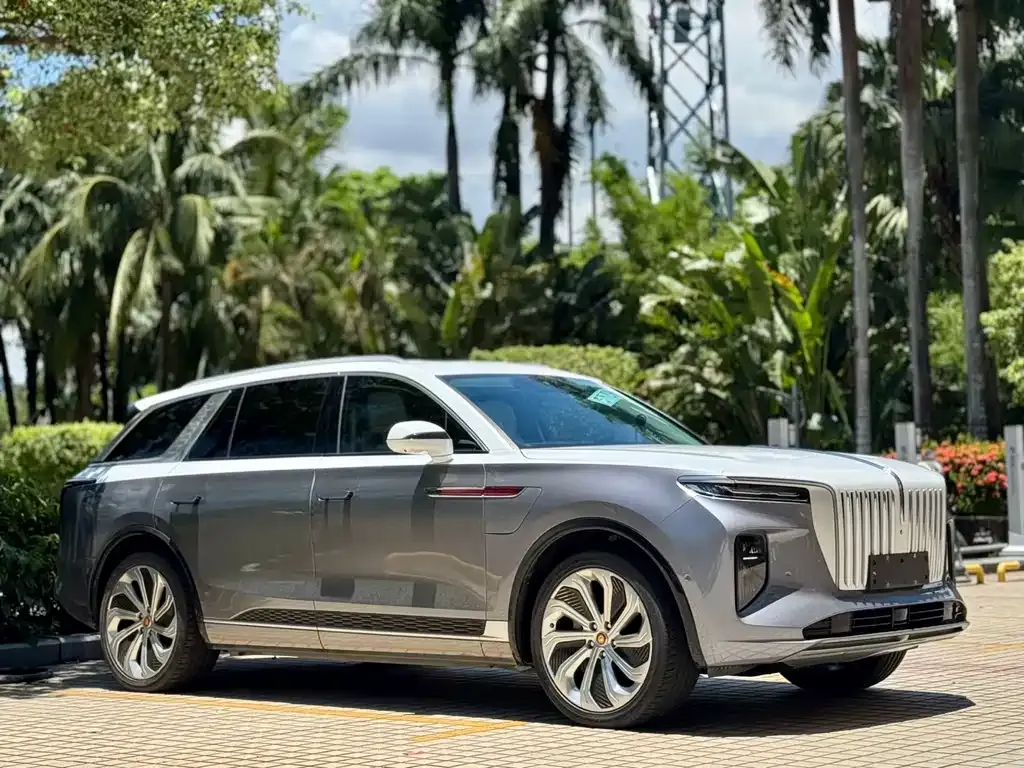 Hongqi E-HS9 — фото 10
