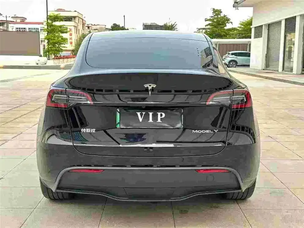 Tesla Model Y — фото 2