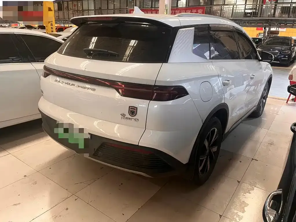 BYD Pro New Energy — фото 9