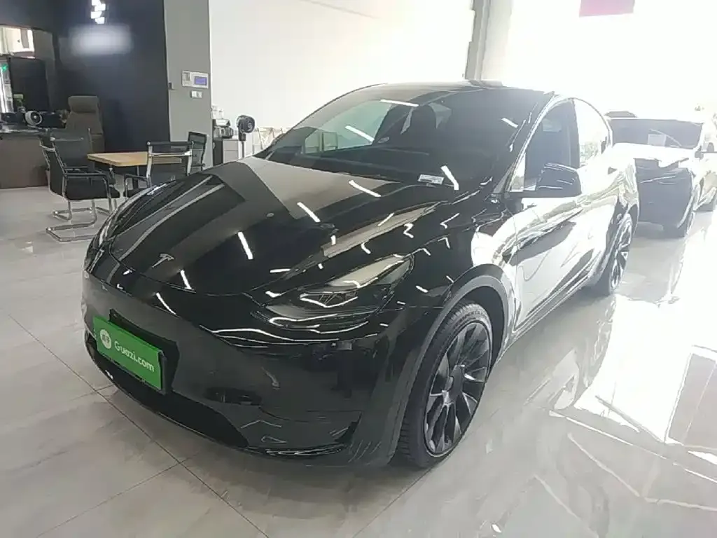 Tesla Model Y — фото 1