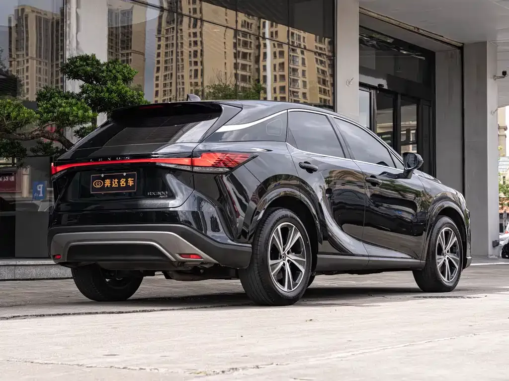 Lexus RX — фото 9