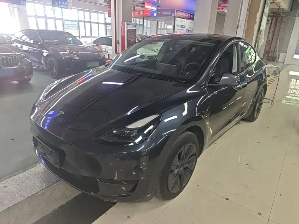 Tesla Model Y — фото 9