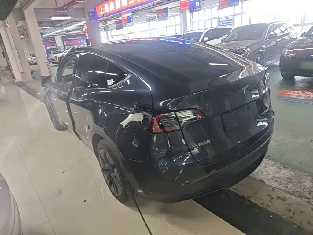 Tesla Model Y — фото 7