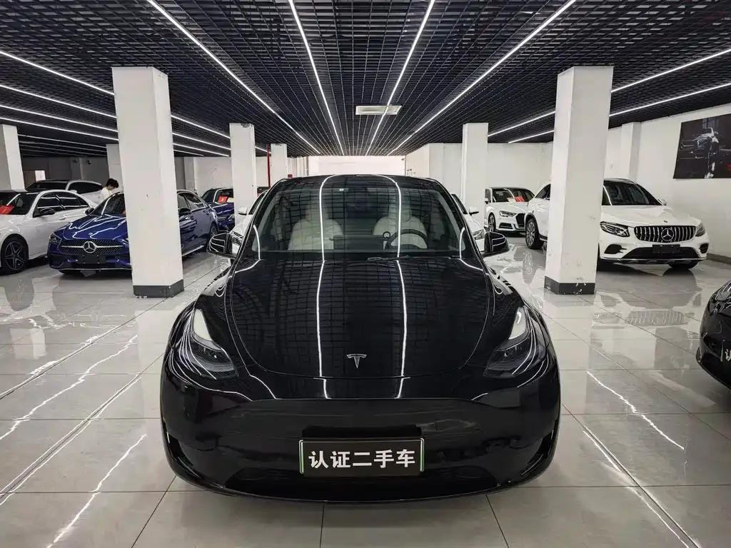 Tesla Model Y — фото 1