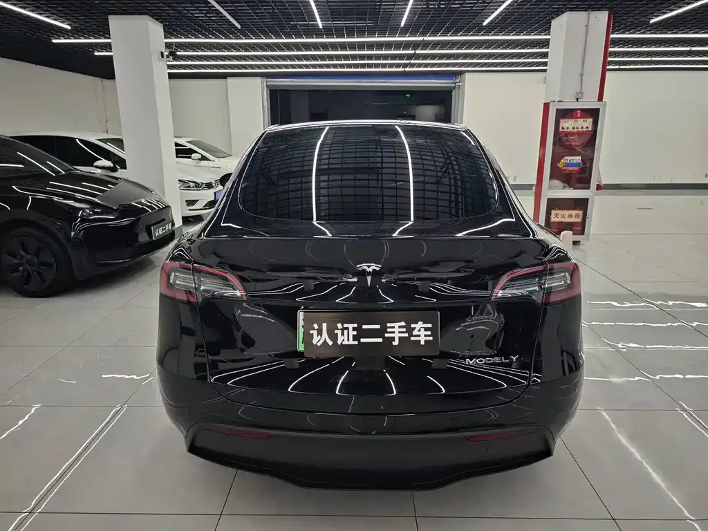 Tesla Model Y — фото 10
