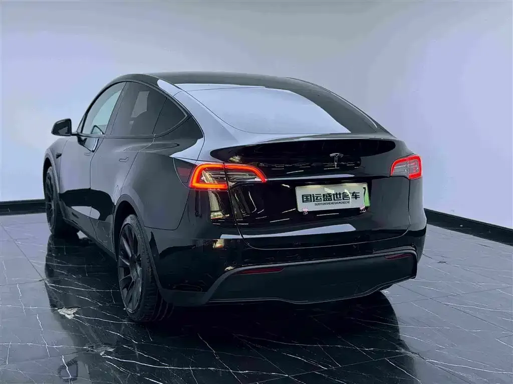 Tesla Model Y — фото 6
