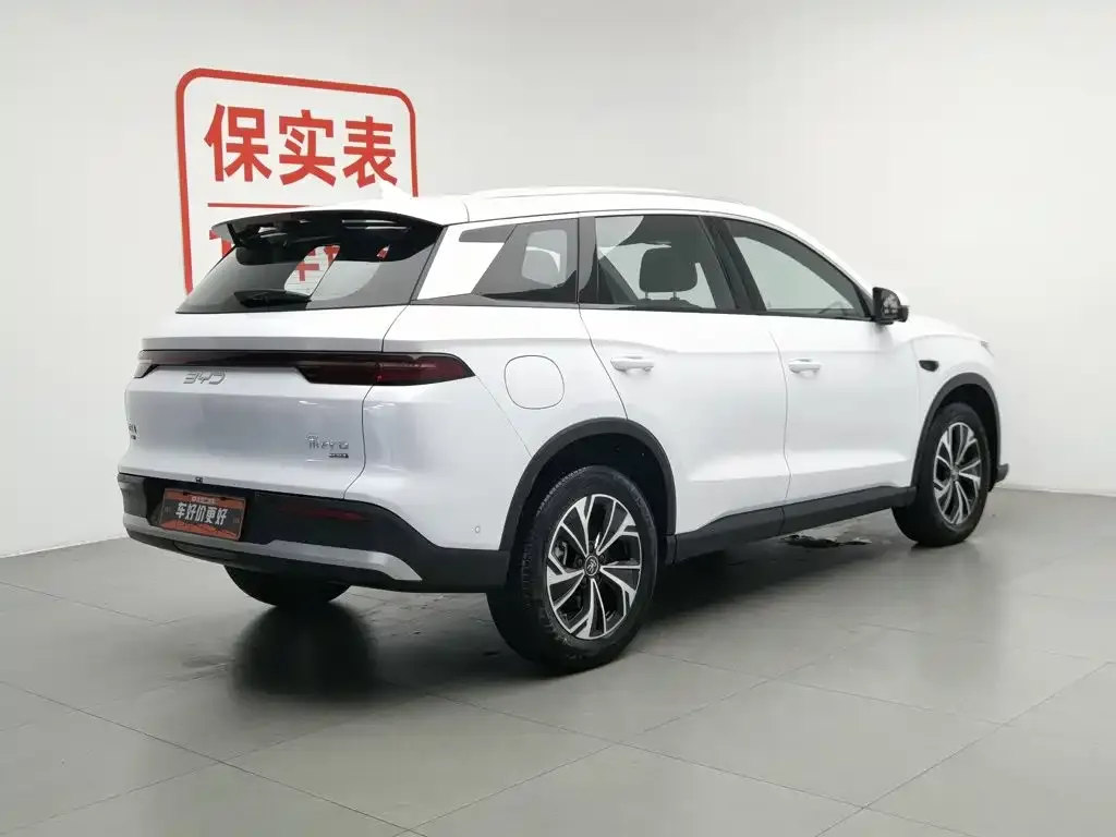 BYD Pro New Energy — фото 4