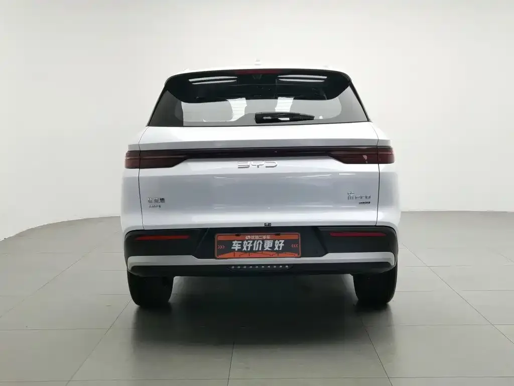 BYD Pro New Energy — фото 5
