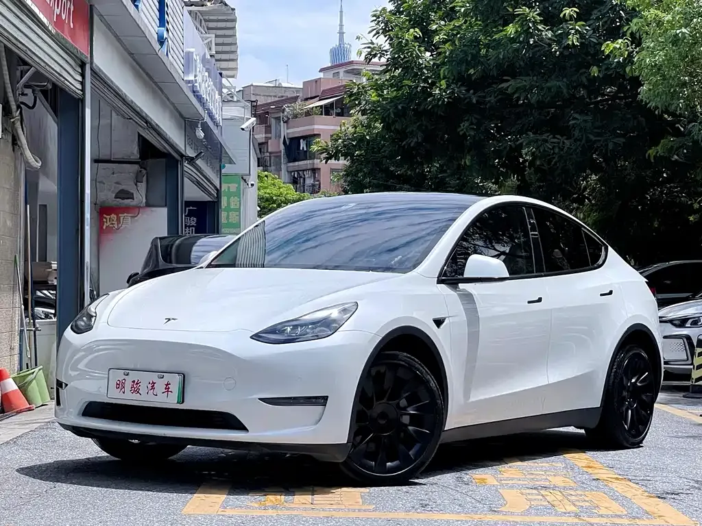 Tesla Model Y — фото 1