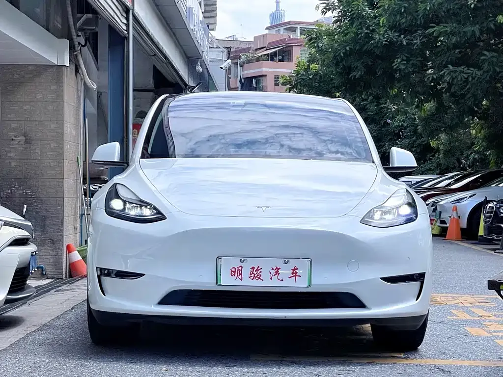 Tesla Model Y — фото 6