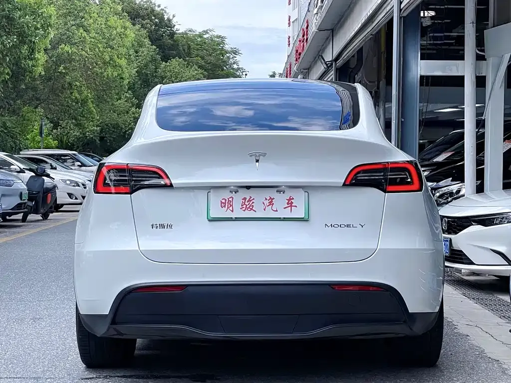 Tesla Model Y — фото 9