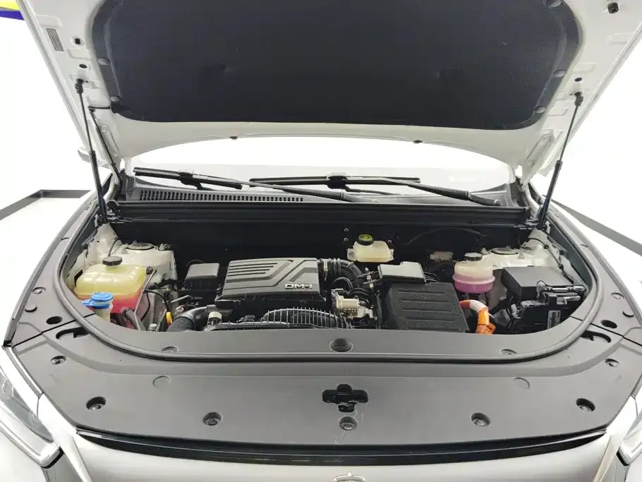BYD Pro New Energy — фото 9