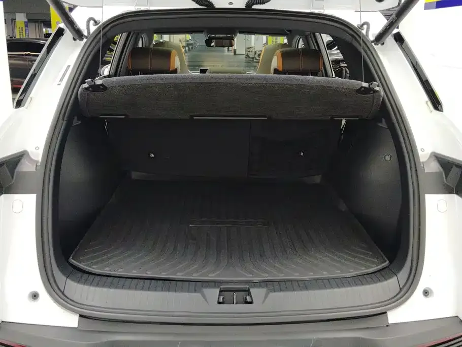 BYD Pro New Energy — фото 3