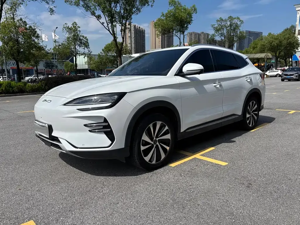 BYD PLUS New Energy — фото 1